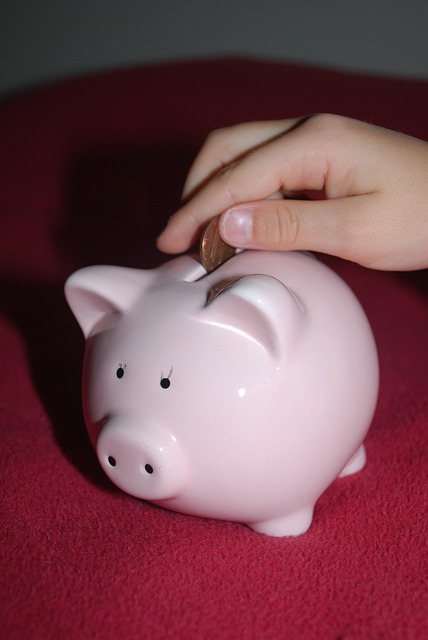 piggy-bank-478158_640