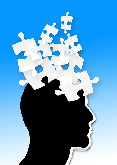 Investor Mindset Puzzle