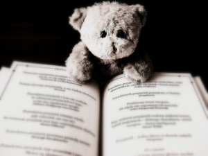 bear-422369_640-300x225