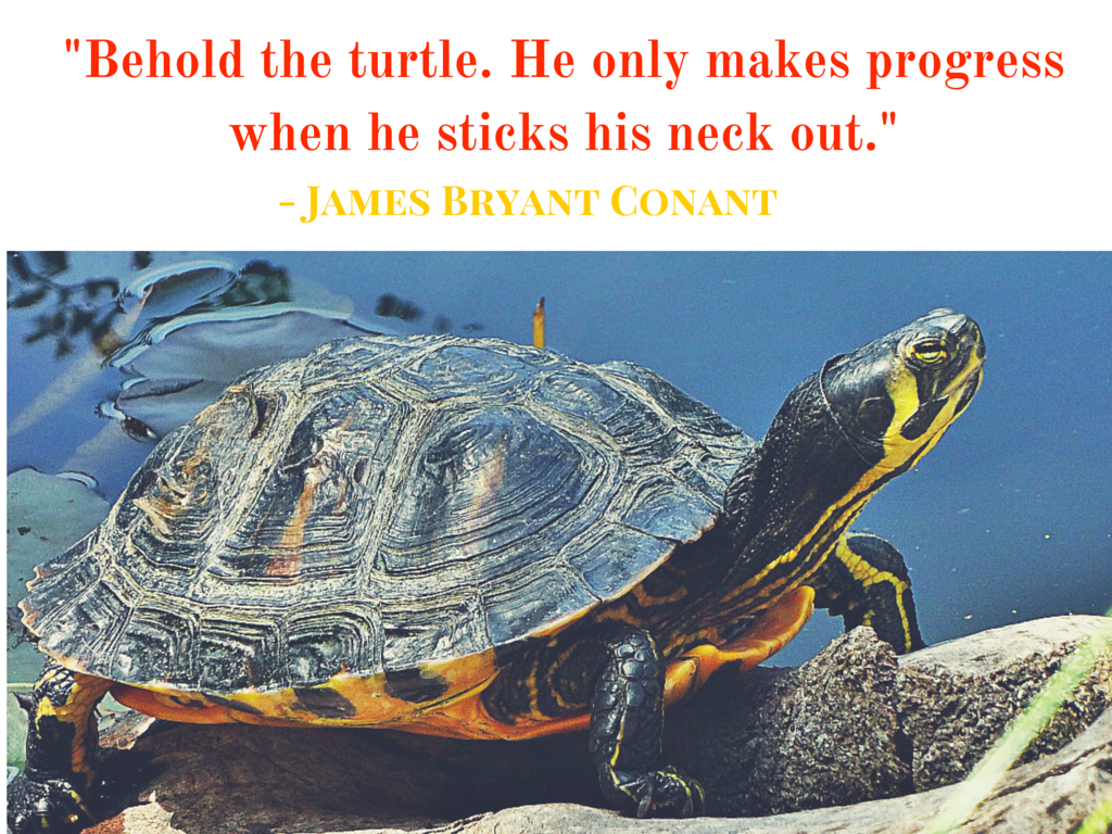 -Behold the turtle. He only makes progress when he sticks his neck out.-