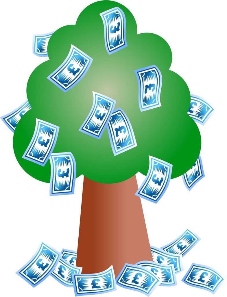 capital growth